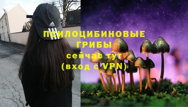 кокс Алексеевка