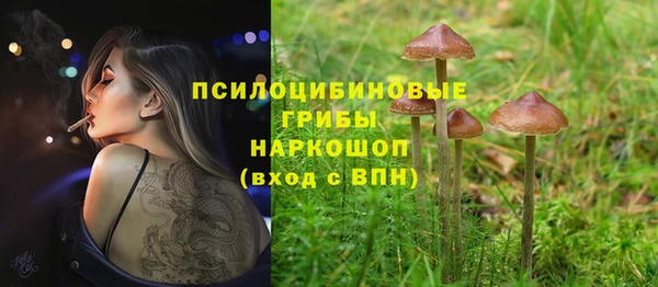 кокс Алексеевка