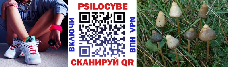 Псилоцибиновые грибы мицелий  мориарти какой сайт  Осинники  закладки 